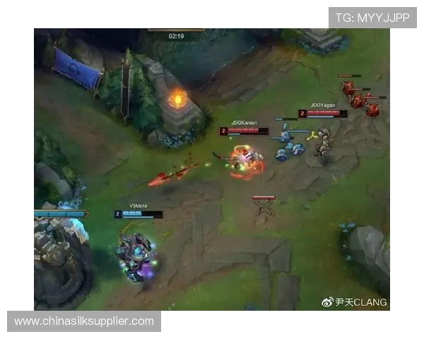 赛后分析：JDG与BLG对决中的战术布局与执行细节探讨